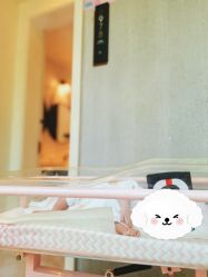 -尚圣月子会所·庄园式月子中心(萧山湘湖店)