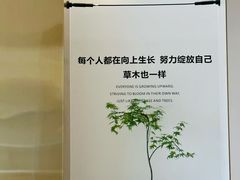 -柏乐口腔(南宁总院)