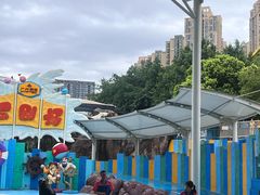 -海合安成都极地海洋公园
