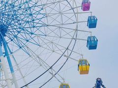 -巨鹏飞梦幻海岸