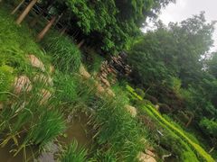 -大连植物园