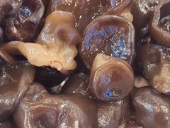 -扶摇树下·椒麻鲜活虾(石家庄勒泰广场店)