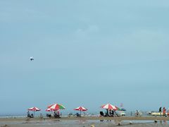 -日照海滨国家森林公园