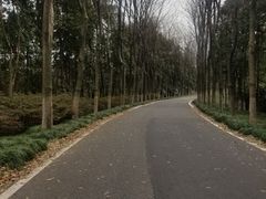 -宜兴龙背山森林公园