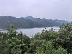 -华盛园卷子王农家菜水库鱼