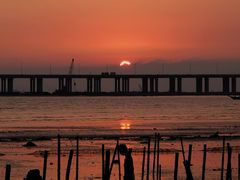 -宝安西湾红树林湿地公园