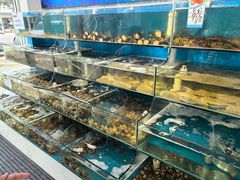 -仙螺岛海鲜自助餐厅(总店)