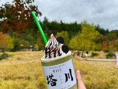 -塔川景区