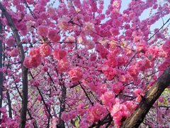 景点-晋祠公园