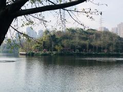 -重庆彩云湖湿地公园