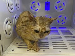 -熊小胖宠物生活馆(天华园店)