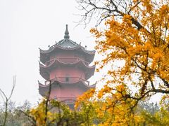 -惠山古镇·寄畅园