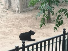 -石家庄市动物园