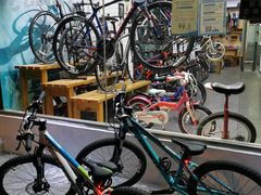 -GIANT捷安特自行车专卖店(金桥台儿庄路店)