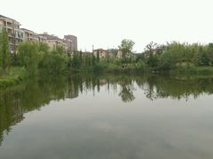 android_upload_pic-青岛国学公园