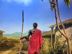 -国家自然博物馆