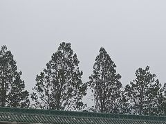 -百泉景区