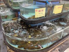 -鹅公村·国家非遗传承(荔湾店)
