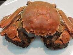 -曼格活海鲜·牛排自助(光明蓝鲸店)