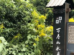 -会稽山峡洞漂流-上青古道