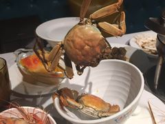 -领鲜活海鲜榴莲自助火锅(东门店)