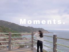 -广东惠东海龟国家级自然保护区