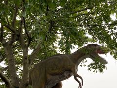 -自贡恐龙博物馆