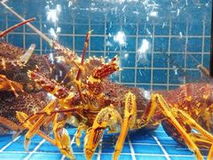 -徐记海鲜(汉城湖|太奥店)