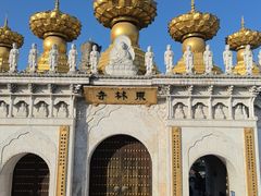 -上海东林寺(金山区)