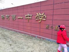 -天津市武清区杨村第一中学