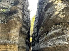 -梭布垭石林景区