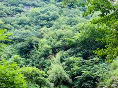 -黑龙潭风景区