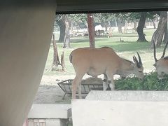 -西安秦岭野生动物园