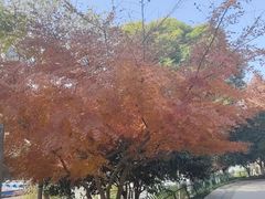 -西湖文化广场