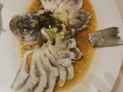 -稻香酒家·35年老字号(侨光店)