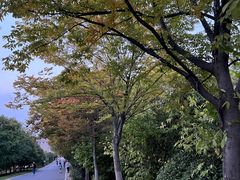 -南京市江宁方山