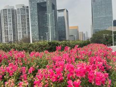 -海心沙亚运公园