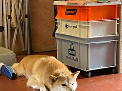 -About Bistro關於·泰式家庭料理