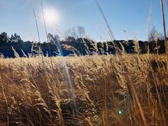 -塞罕坝国家级自然保护区