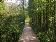 -溱湖国家湿地公园