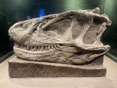 -自贡恐龙博物馆