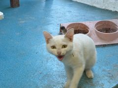 -沐沐家宠物(成寿寺店)