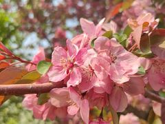 -元大都城垣遗址公园