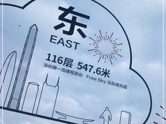 -平安金融中心云际观光层