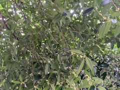 -八路军西安办事处纪念馆