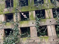 -成都杜甫草堂博物馆