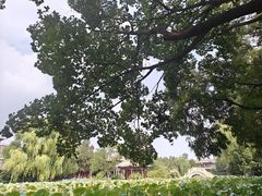 -莲池书院博物馆