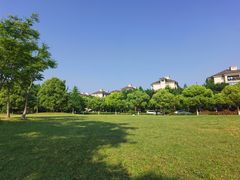 -良渚文化村