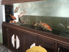-160烧烤(香坊店)