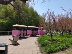 -长白岛森林公园